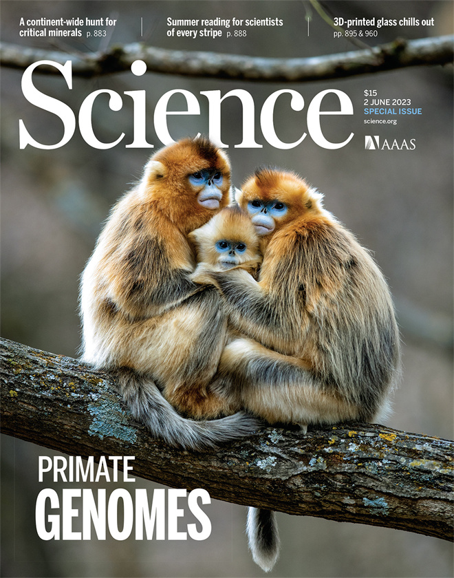 Science封面文章:华体会体育(中国)hth·官方网站金丝猴研究团队首次系统揭示灵长类社会演化之谜_fororder_《自然》封面.JPG