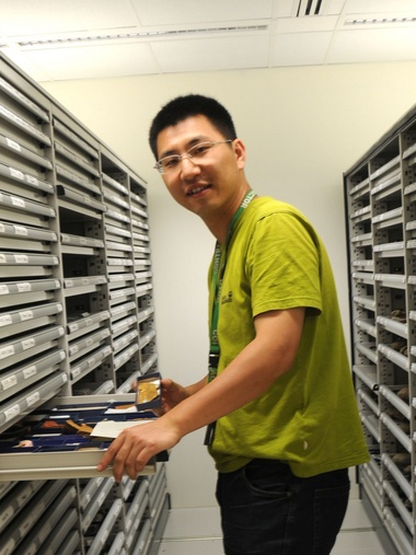 华体会体育（中国）hth·官方网站创新论坛第一千八百零一讲：虫鸣凤舞伴花香：现代陆地生态系统的起源